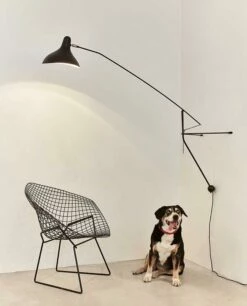 Applique MANTIS BS2 15 Applique MANTIS BS2 -BLOU PARIS Soldes applique mantis bs2 5