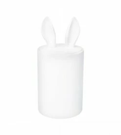 Container Décoratif Curiosity