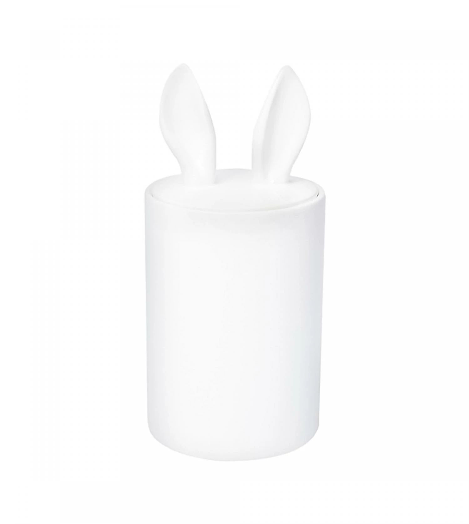 Container Décoratif Curiosity 6 Container Décoratif Curiosity – Image 4