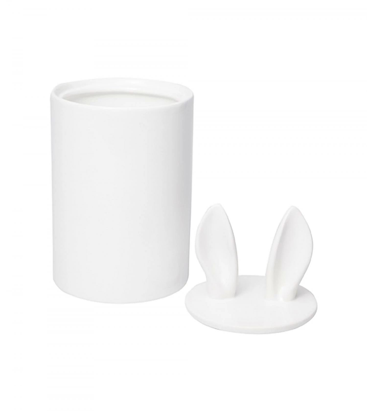 Container Décoratif Curiosity 7 Container Décoratif Curiosity – Image 5