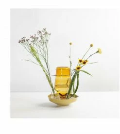 Hidden Vases Par Chris Kabel